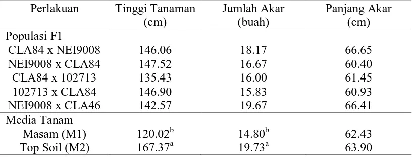 Tabel 3. Pengaruh media tanam dan populasi F1 pada karakter tinggi tanaman    jumlah akar dan panjang akar Perlakuan Tinggi Tanaman Jumlah Akar Panjang Akar 