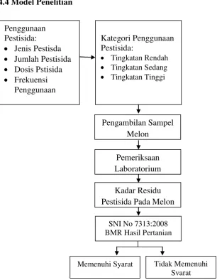 Gambar 3.2 Model Penelitian 