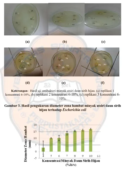 Gambar 3. Hasil pengukuran diameter zona hambat minyak atsiri daun sirih hijau terhadap Escherichia coli 