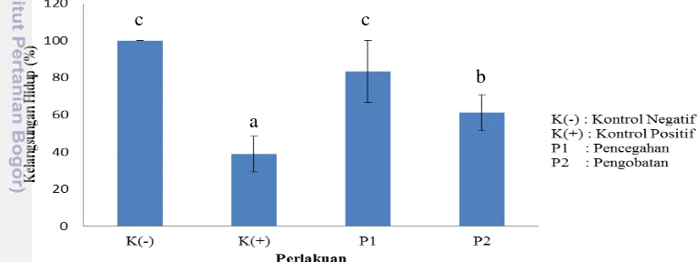 Gambar 6. Kelangsungan hidup ikan pada akhir pemeliharaan benih ikan kerapu 