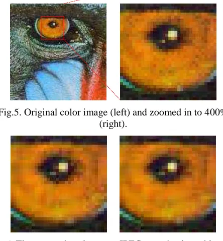 Fig.5. Original color image (left) and zoomed in to 400% (right). 