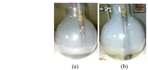 Gambar 2  Perubahan warna sebelum (a) dan sesudah (b) proses sulfonasi  