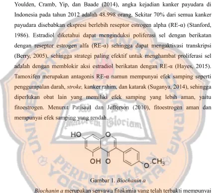 Gambar 1. Biochanin a  