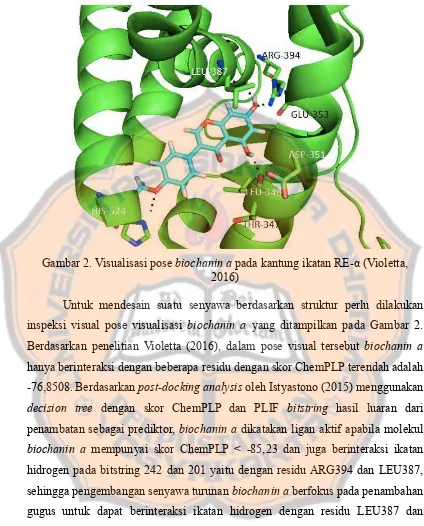 Gambar 2. Visualisasi pose biochanin a pada kantung ikatan RE-α (Violetta,  