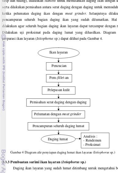 Gambar 4 Diagram alir penyiapan daging lumat ikan layaran (Istiophorus sp.) 