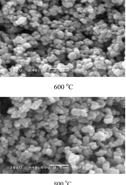 Table 1 shows that the crystal structure also depends on the annealing temperature. It seems that increasing annealing temperature reduces the a=b and increases the c parameter of the tetragonal crystal structure of TiO2:Fe thin films