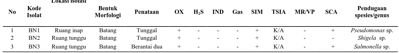 Tabel 4. Karakteristik dan identifikasi bakteri bioaerosol Gram negatif dari RSU Pirngadi (-) pada media  