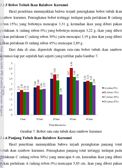Gambar 7. Bobot rata-rata tubuh ikan rainbow kurumoi 