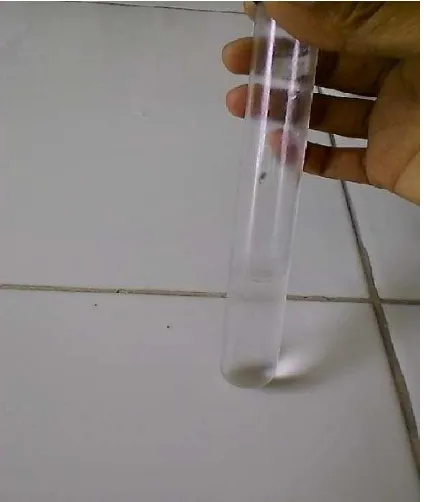Gambar 5.  NaCl Steril 0,9 % 