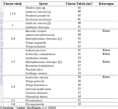 Tabel 4  Ukuran tubuh burung yang dikonsumsi 