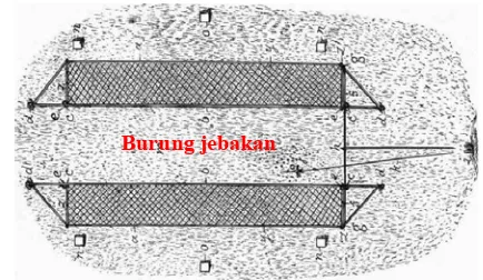 Gambar 11  Jaring tangkrep (clap net). 