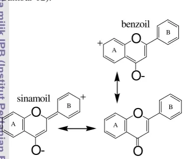 Gambar 12  Struktur resonans flavon. 