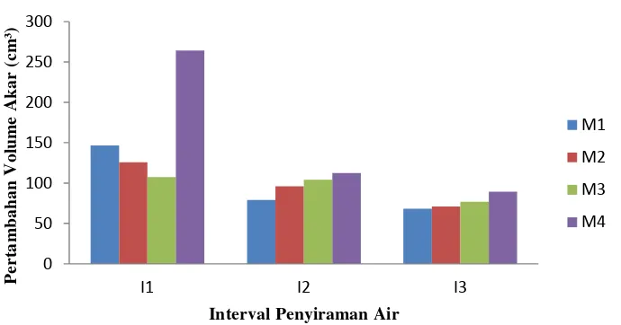 Gambar 7. Histogram pertambahan volume akar bibit jambu madu deli hijau pada  perlakuan komposisi media tanam dan interval penyiraman air 