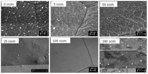 Figure 5  SEM images of copper foils annealed at 900 oC 