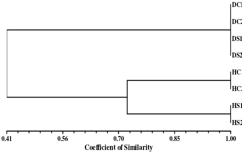 Figure 1.  The DNA fragment pattern  of rhizosphere 