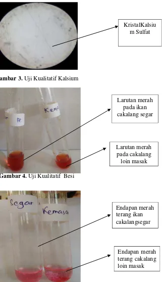 Gambar 3. Uji Kualitatif Kalsium 