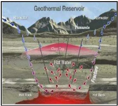 Gambar 1. Model Sistem Geotermal 