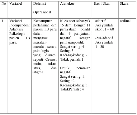 Tabel 3.2. Defenisi Operasional 