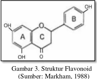 Gambar 3. Struktur Flavonoid 