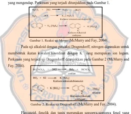 Gambar 1. Reaksi uji Mayer (McMurry and Fay, 2004). 