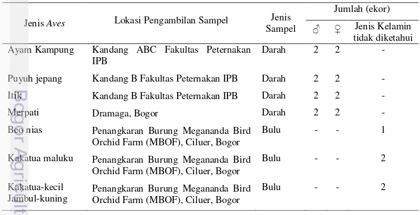 Tabel 2.  Sampel Aves yang Digunakan dalam Penelitian 