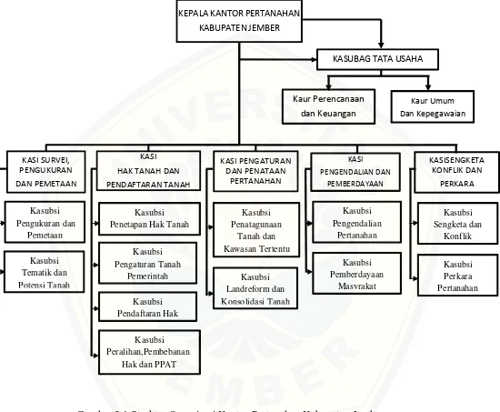 Gambar 3.1 Struktur Organisasi Kantor Pertanahan Kabupaten Jember 