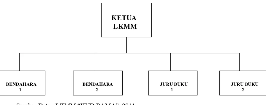Gambar Bagan 3.1 : Struktur Organisasi LKMM “KUD RAMA” 