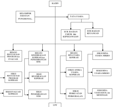 Gambar Bagan 3.2 : Struktur organisasi personalia LKMM KUD “ RAMA “ 