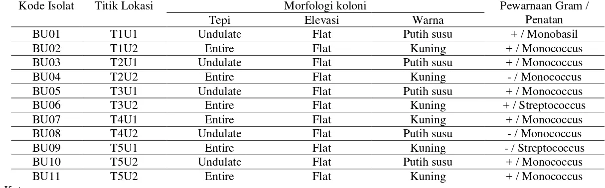Tabel 1. Karakteristik Morfologi Bakteri dari Udara Ruangan Laboratorium Kultur Jaringan Departemen Biologi FMIPA USU   