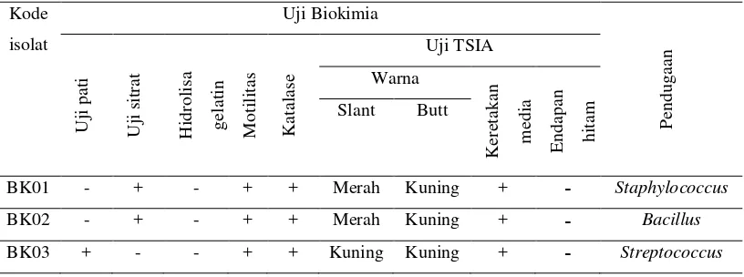 Tabel 3. Karakteristik Morfologi Isolat Bakteri yang berasal dari beberapa kultur yang terkontaminasi 