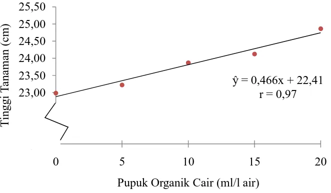 Gambar 1. Hubungan tinggi tanaman kopi robusta dengan konsentrasi pupuk organik cair pada 12 MSPT