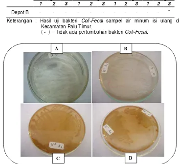 Gambar 2. Hasil uji bakteri Coli-Fecal. (A dan B) pada medium ‘Eosine Methylene Blue Agar’ (EMBA) dan (C dan D) pada medium ‘MacConkey Agar’ 