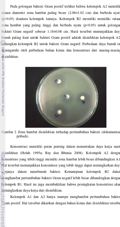 Gambar 2 Zona hambat disinfektan terhadap pertumbuhan bakteri (dokumentasi 