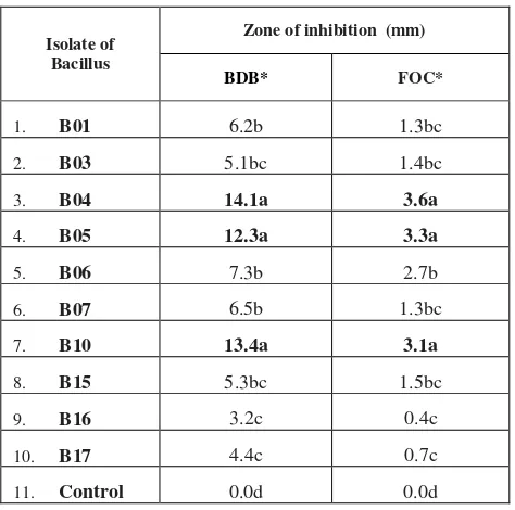 Table 1:  Effect culture filtrates of Bacillus to the growth of micro-plantlet on MS medium 