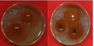 Gambar 2. Grafik Yang Menunjukan Rata-Rata Zona Hambat Ekstrak Daun Serehwangi  (Cymbopogon nardus L.) Terhadap Pertumbuhan Jamur Candida albicans
