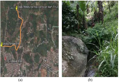 Gambar 3.2 (a) Peta Lokasi Hutan Alami Pinus Serta Kebun Kopi dan (b) DAS  Cilaja bagian hilir Sumber: Google Earth dan Dokumentasi pribadi, 2014 