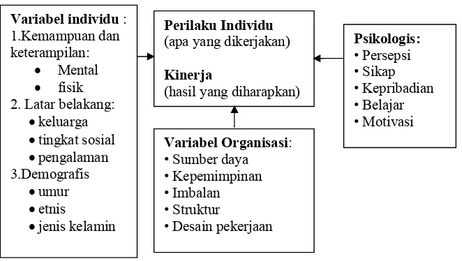 Gambar 2.  Diagram skematis teori perilaku dan kinerja 
