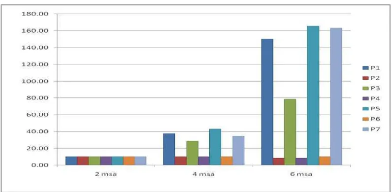 Gambar 8. Histogram Pertambahan Jumlah Populaasi Pada S. oryzae (ekor) Pada         Pengamtan 2-6 msa 
