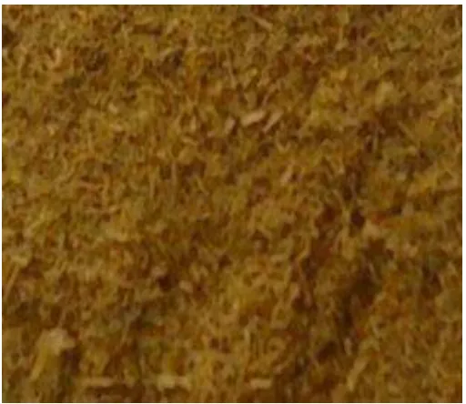 Gambar 3  Biomassa limbah tanaman jagung setelah pengecilan ukuran  