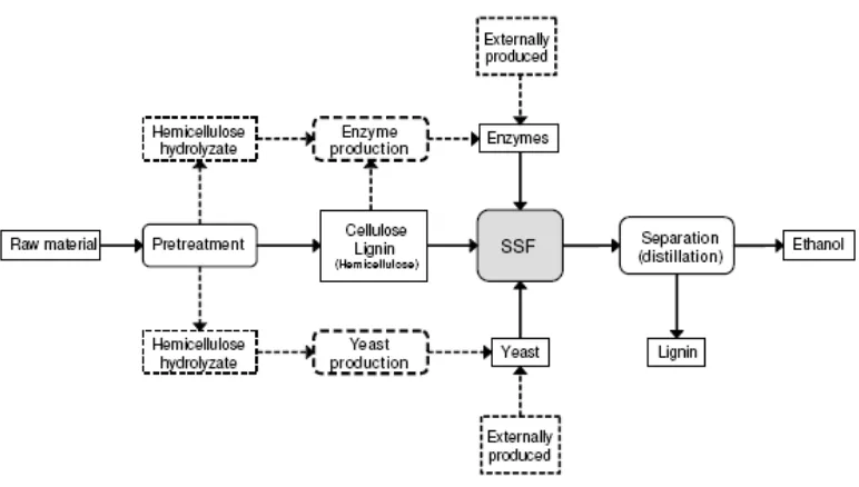 Gambar 9  Proses produksi bioetanol dari lignoselulosa (sumber : Balat et al. 