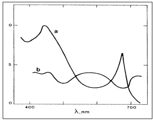 Gambar 8. Absorbsi (a) dan hamburan kembali (b) dari air laut murni (Robinson 1985).  