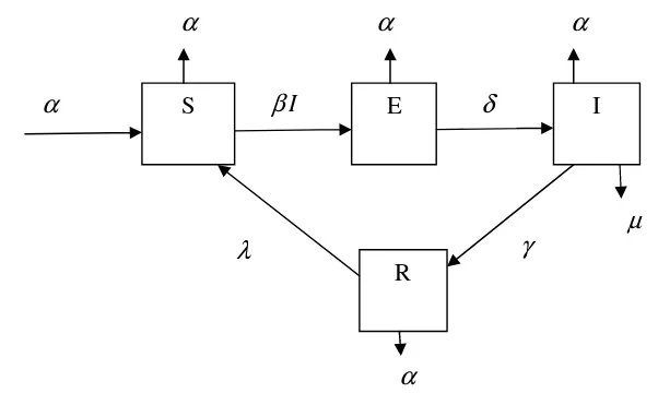 Gambar 1. Diagram transfer model SEIRS 
