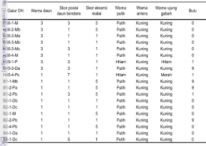 Tabel 9 Karakter morfologi dan karakter bunga 19 calon galur pelestari 