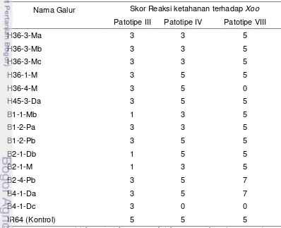Tabel 14 Hasil uji ketahanan galur dihaploid calon pelestari terhadap pathogen 