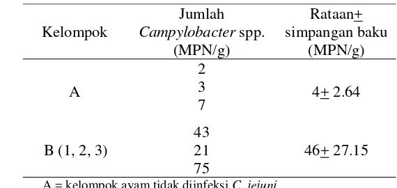 Tabel 2  Rataan jumlah Campylobacter spp. pada ayam setelah diinfeksi oleh C. jejuni (ayam umur 12 hari) 