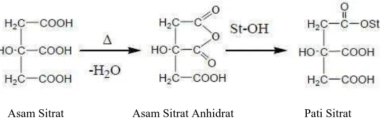 Gambar 4.1 Reaksi pembentukan pati sitrat tahap I (Fajd dan Marton, 2004) 