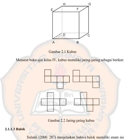 Gambar 2.1 Kubus 