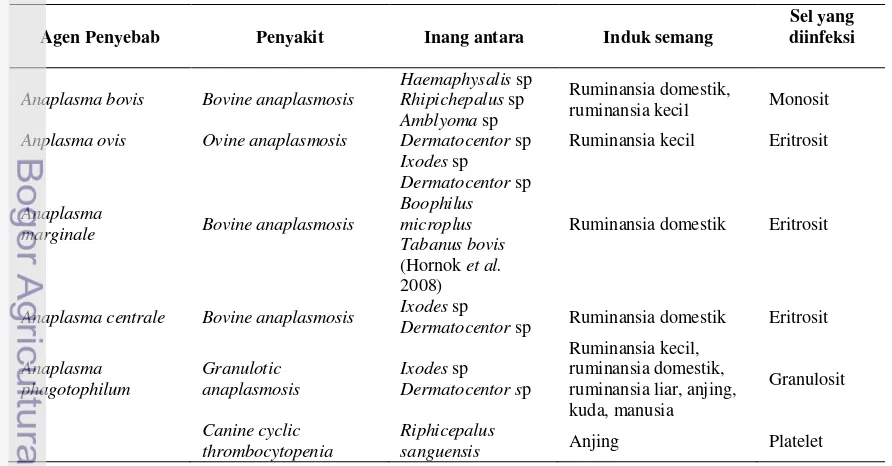 Tabel 1  Jenis Anaplasma yang ada di dunia  