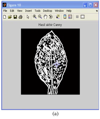 Gambar 4.7 : (a,b) Image setelah Proses Non-maximum Supression dan pixelnya 