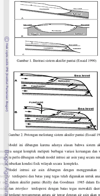 Gambar 2. Potongan melintang sistem akuifer pantai (Essaid 1990) 